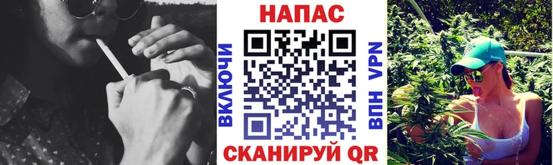Купить где  Ревда  Бошки Шишки ГИДРОПОН 